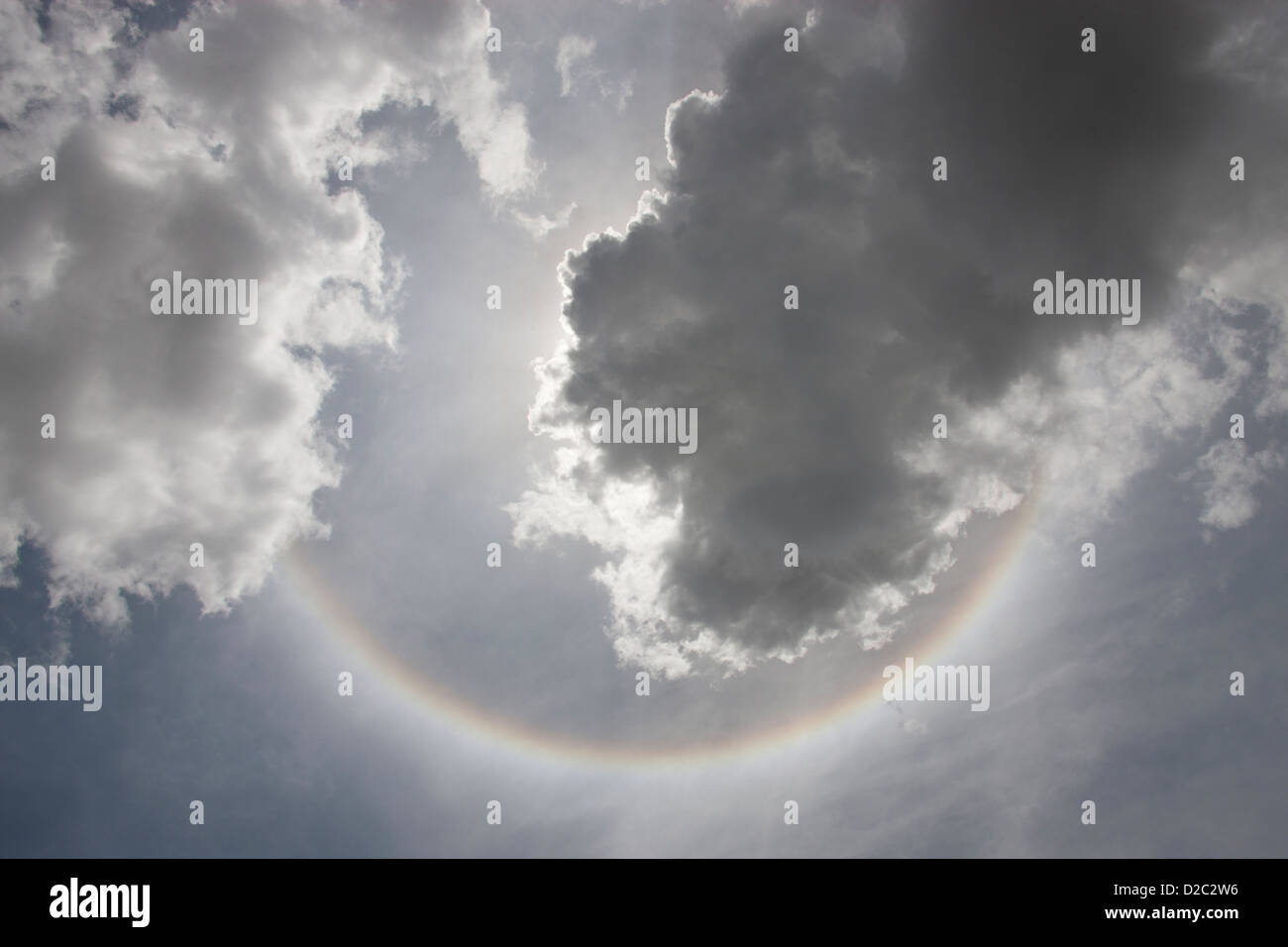 Arc-en-ciel circulaire vu à partir du sol dans le cratère du Ngorongoro en Tanzanie. Ce type d'arc-en-ciel est également appelée 'chien' Banque D'Images