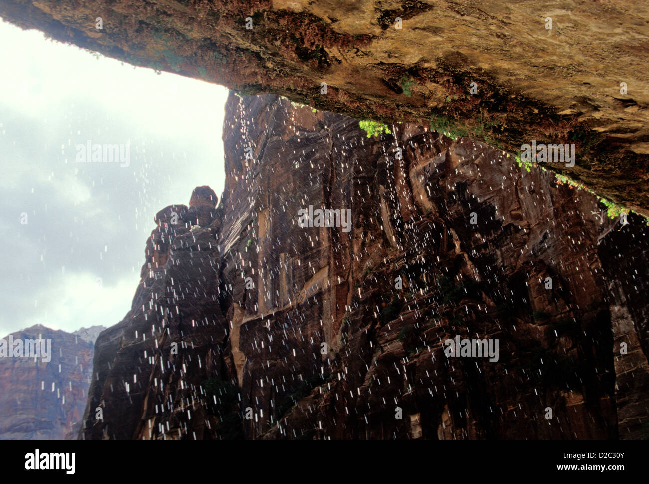 L'Utah. Zion National Park.En vertu de Weeping Rock Zion Canyon. Banque D'Images