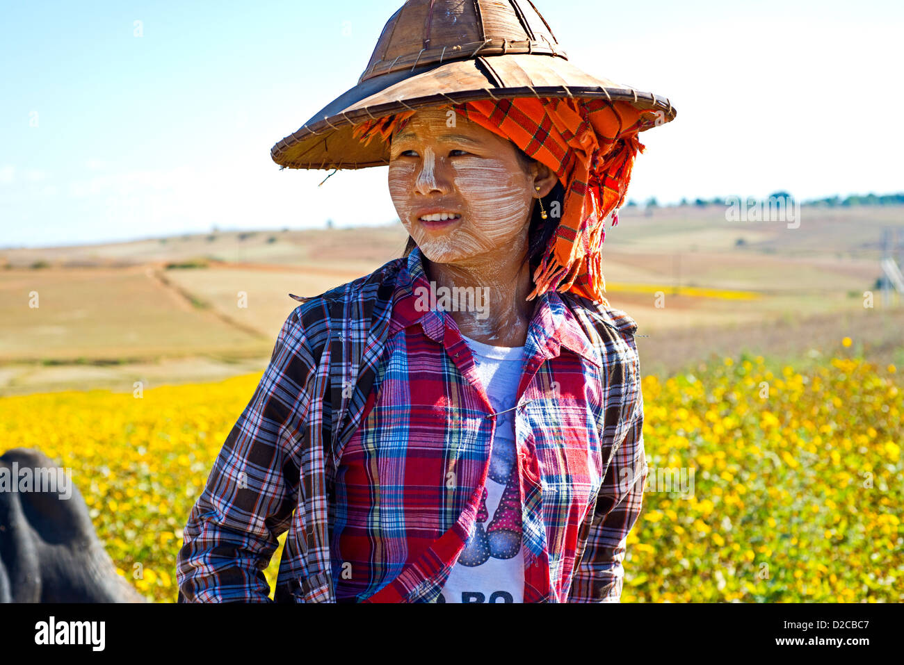 Fille de tribu birmane agriculteur tend ses champs à Pindaya, Myanmar. Banque D'Images