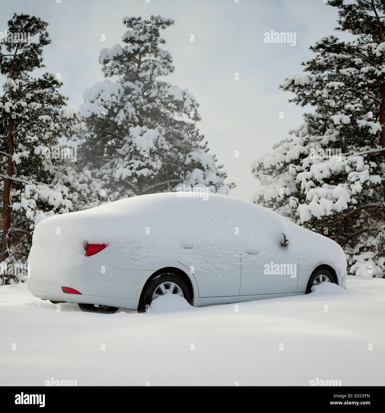 Voiture couverte de neige dans la forêt Banque D'Images