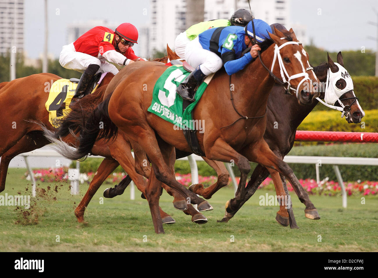 19 janvier 2013 - Hallandale Beach, Floride, États-Unis - Regalo Mia avec Javier Castellano jusqu'gagne le soleil de la Floride et des millions pouliches Mare Turf à Gulfstream Park. (Crédit Image : © Arron Haggart/Eclipse/ZUMAPRESS.com) Banque D'Images