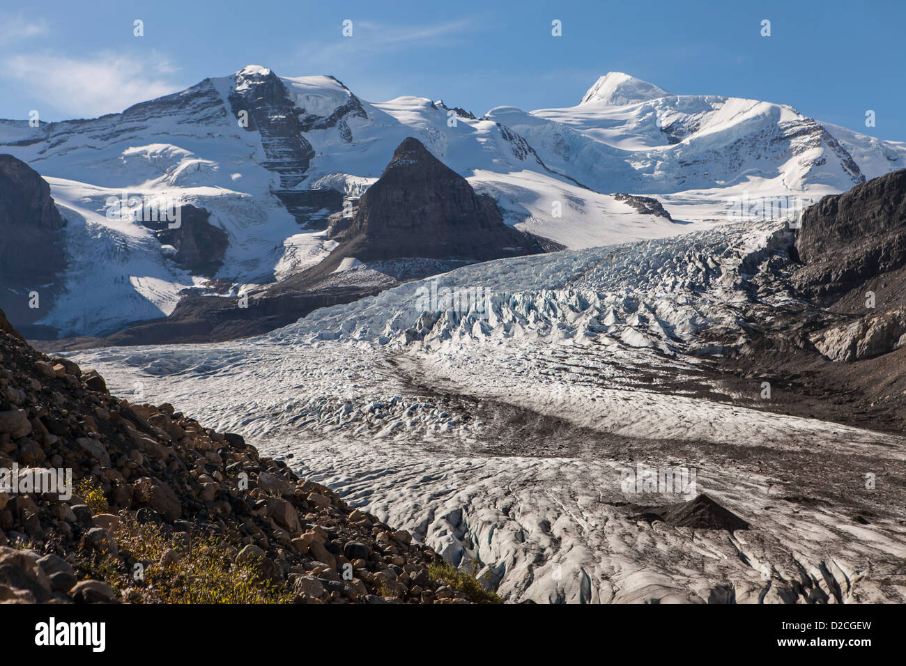 Le mont Robson et le glacier Robson de la piste du col de Snowbird, Robson Provincial Park, Canadian Rockies, Colombie-Britannique Banque D'Images