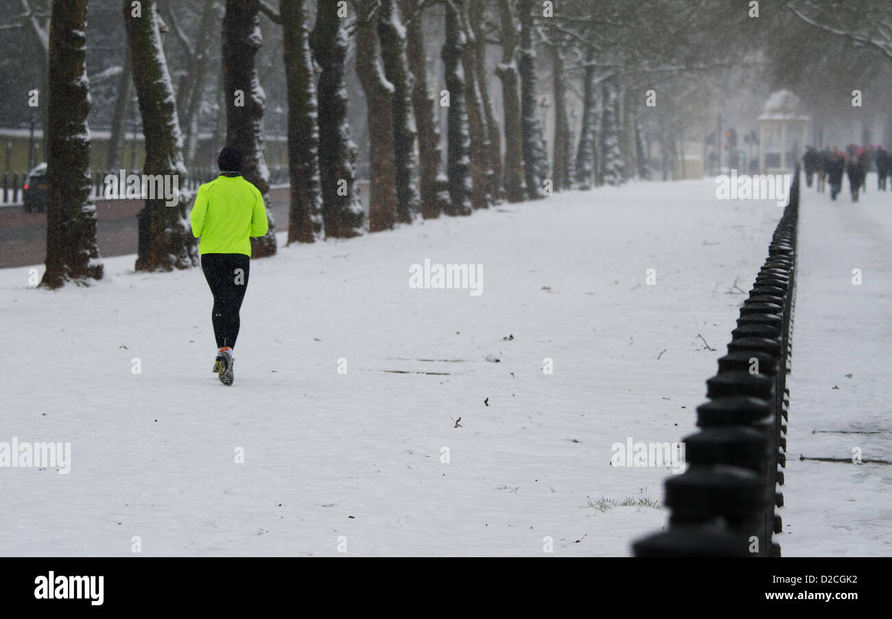 Londres, Royaume-Uni. 20 janvier 2013. Un runner brave la froid dans Green Park comme la neige tombe sur le centre de Londres pour un troisième jour. George Henton / Alamy Live News. Banque D'Images