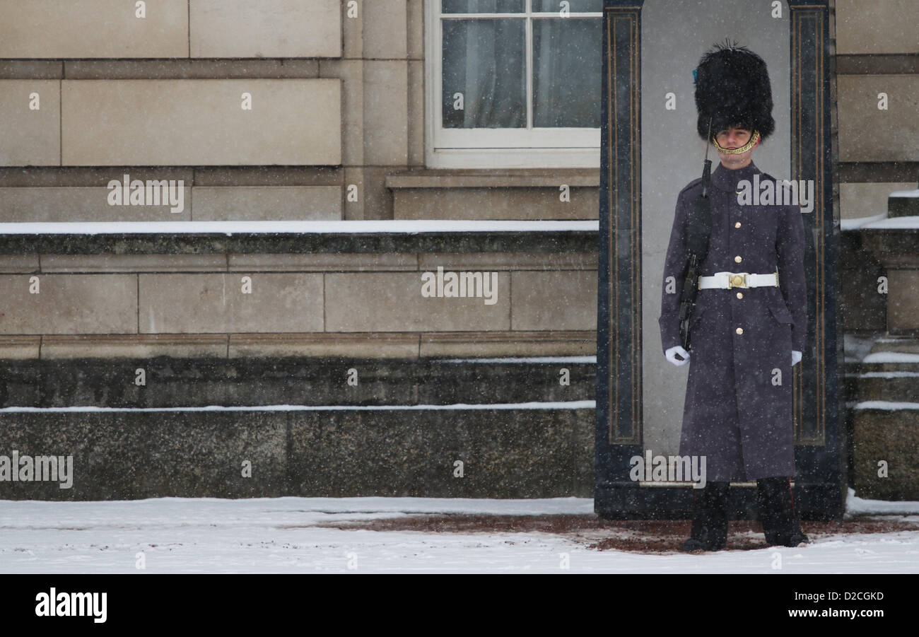 Londres, Royaume-Uni. 20 janvier 2013. Un soldat monte la garde à l'extérieur de Bukingham Palace à Londres comme la neige tombe sur le centre de Londres pour un troisième jour. George Henton / Alamy Live News. Banque D'Images