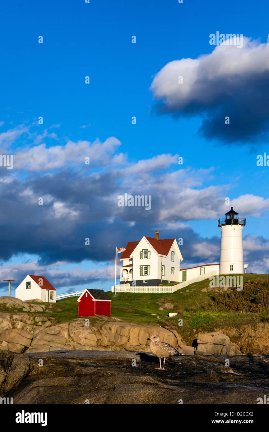 Phare de nubble, cape neddick, York, Maine, USA Banque D'Images