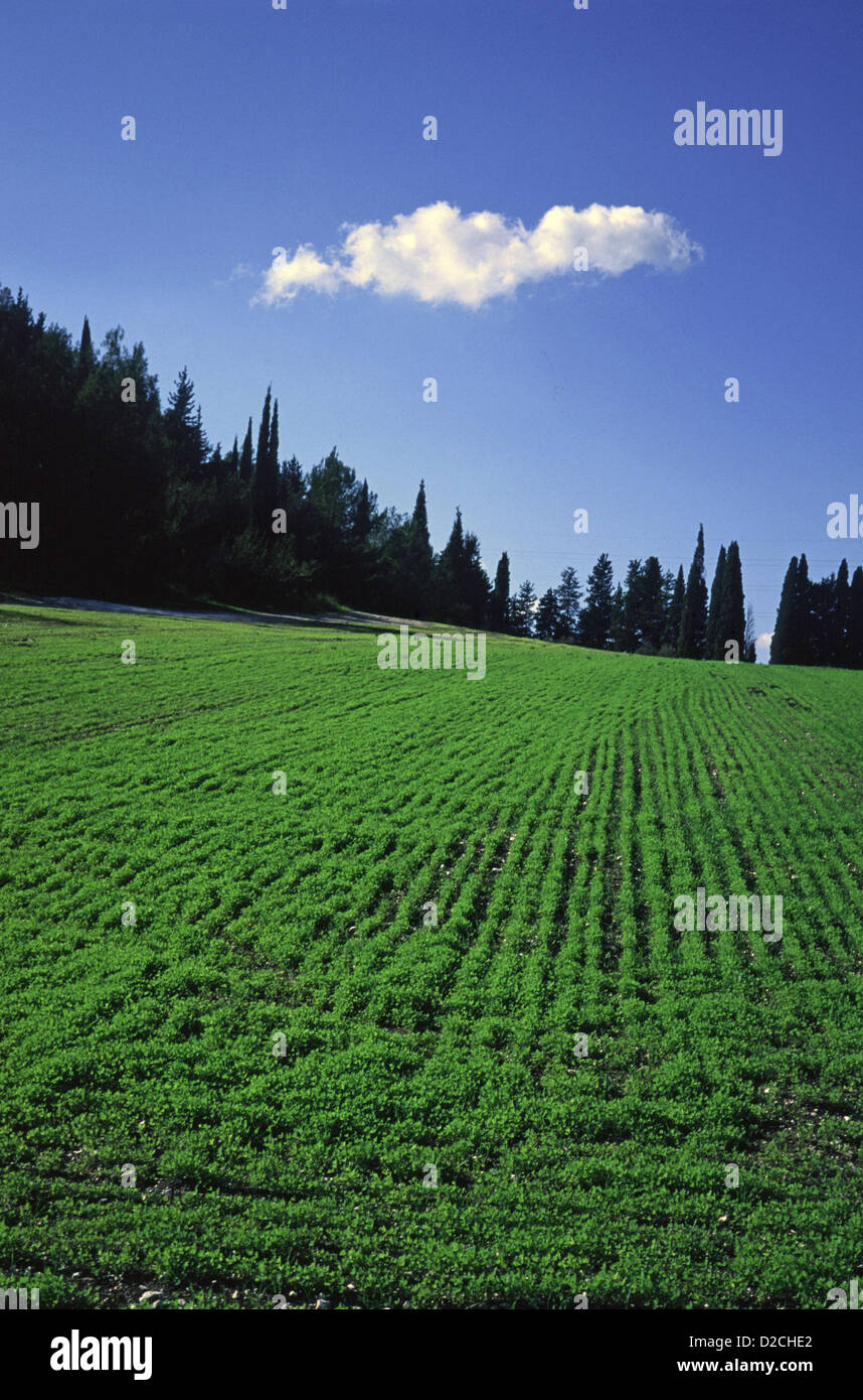 Les nuages au-dessus de crêtes sur la plantation agricole dans la vallée de Jizreel, une grande plaine fertile et au sud de la Basse Galilée en Israël. Banque D'Images