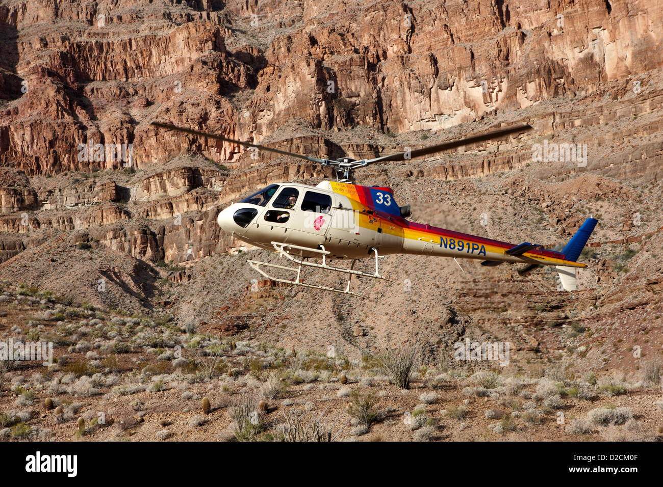 Papillon d'hélicoptère en venant à la terre vers le bas du tampon dans le Grand canyon Arizona USA Banque D'Images