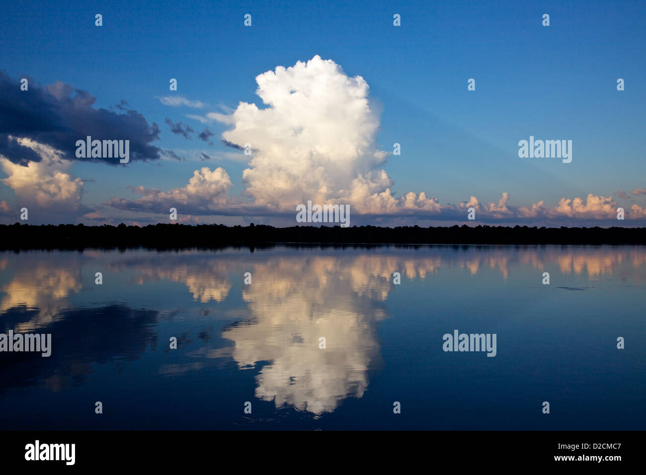 Nuages de tempête de construire au coucher du soleil sur le fleuve Amazone Banque D'Images