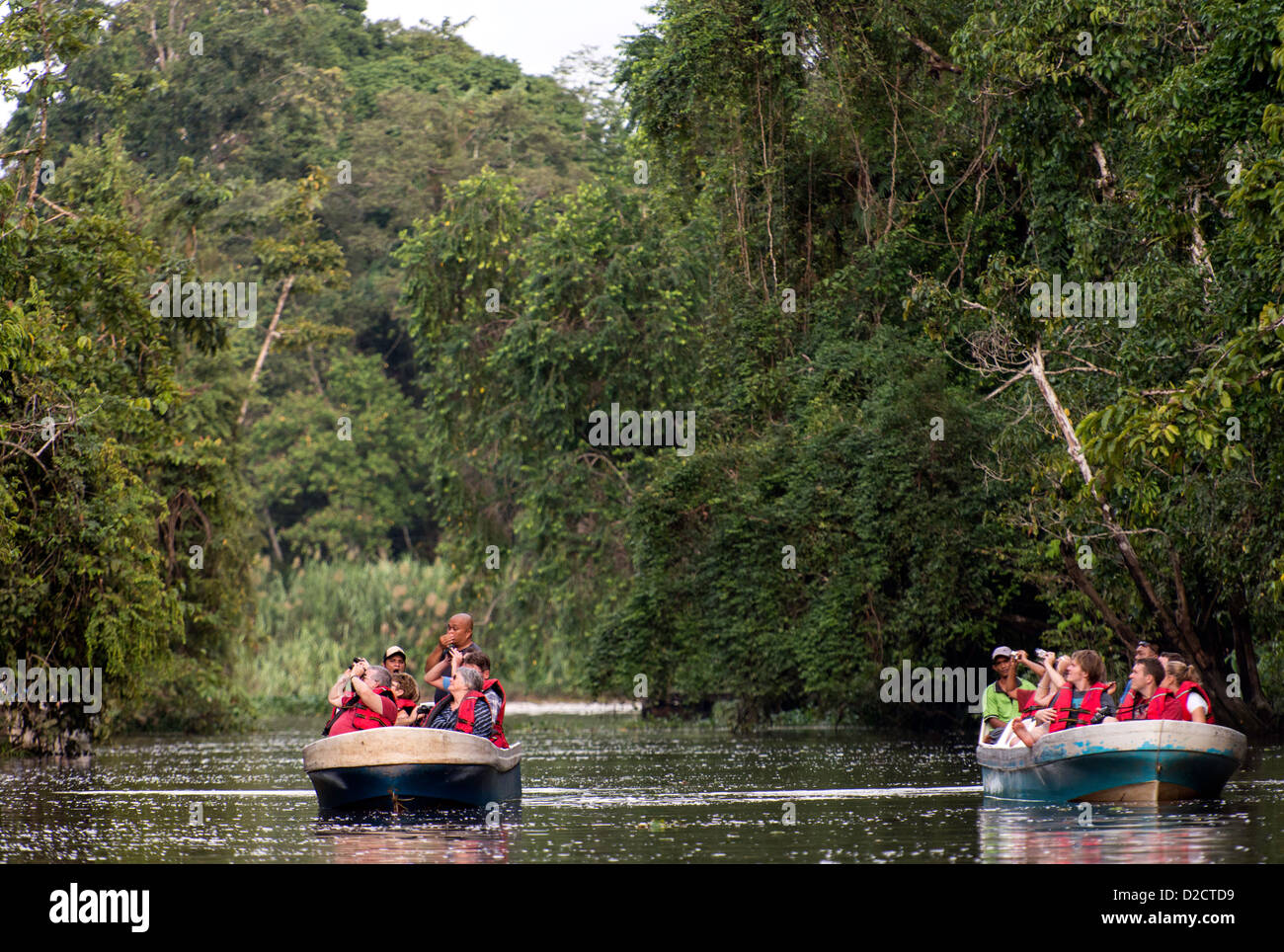 Les gens à la recherche d'animaux sauvages sur river cruise dans la sous forêt tropicale humide Sabah Malaisie Bornéo Banque D'Images