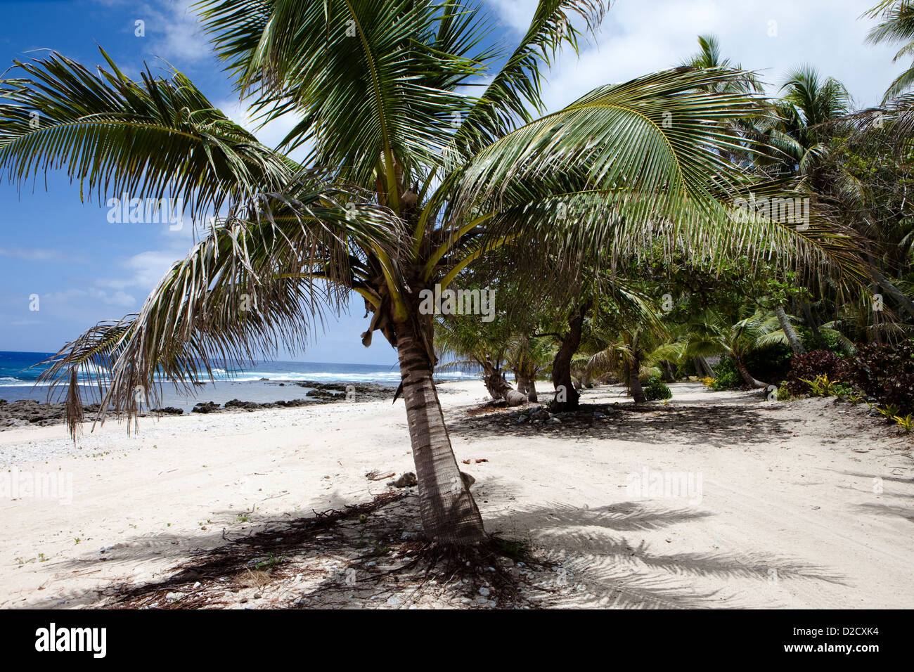 Plage, côte ouest, l'île de Tanna, Vanuatu, Pacifique Sud Banque D'Images