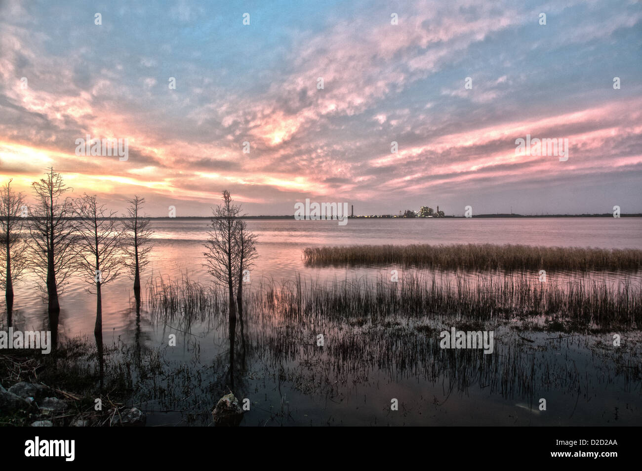 Le long des rives du lac Parker à Lakeland, Floride avec McIntosh, dans l'arrière-plan. Banque D'Images