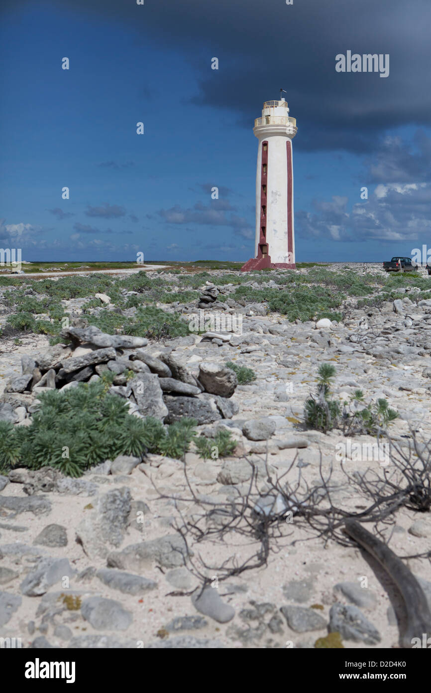 L'Willemstoren phare de l'île néerlandaise de Bonaire. Banque D'Images