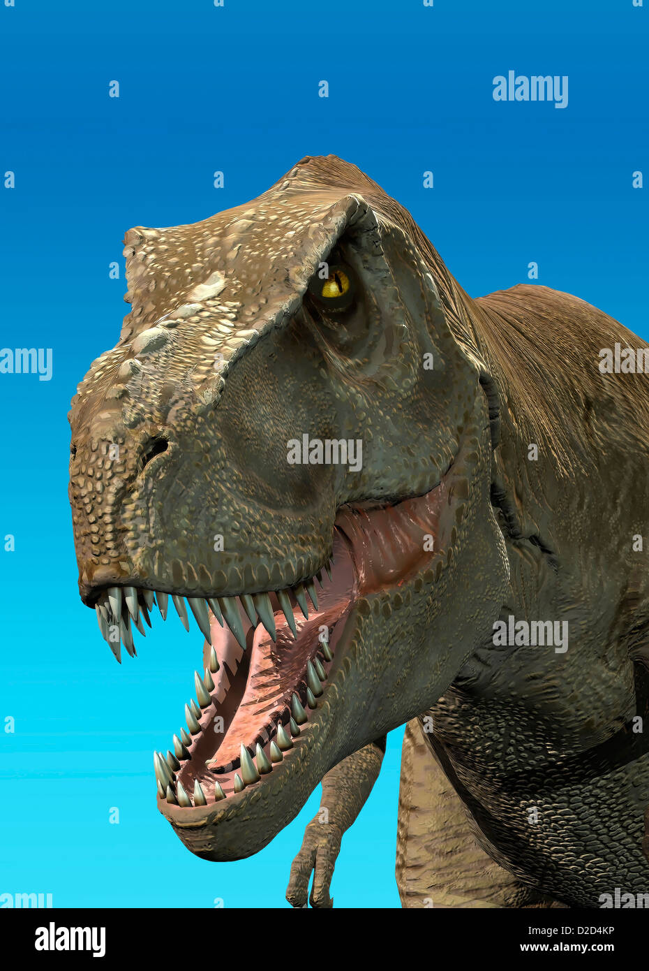 Tyrannosaurus rex t rex dinosaure dinosaure carnivore le plus important Banque D'Images