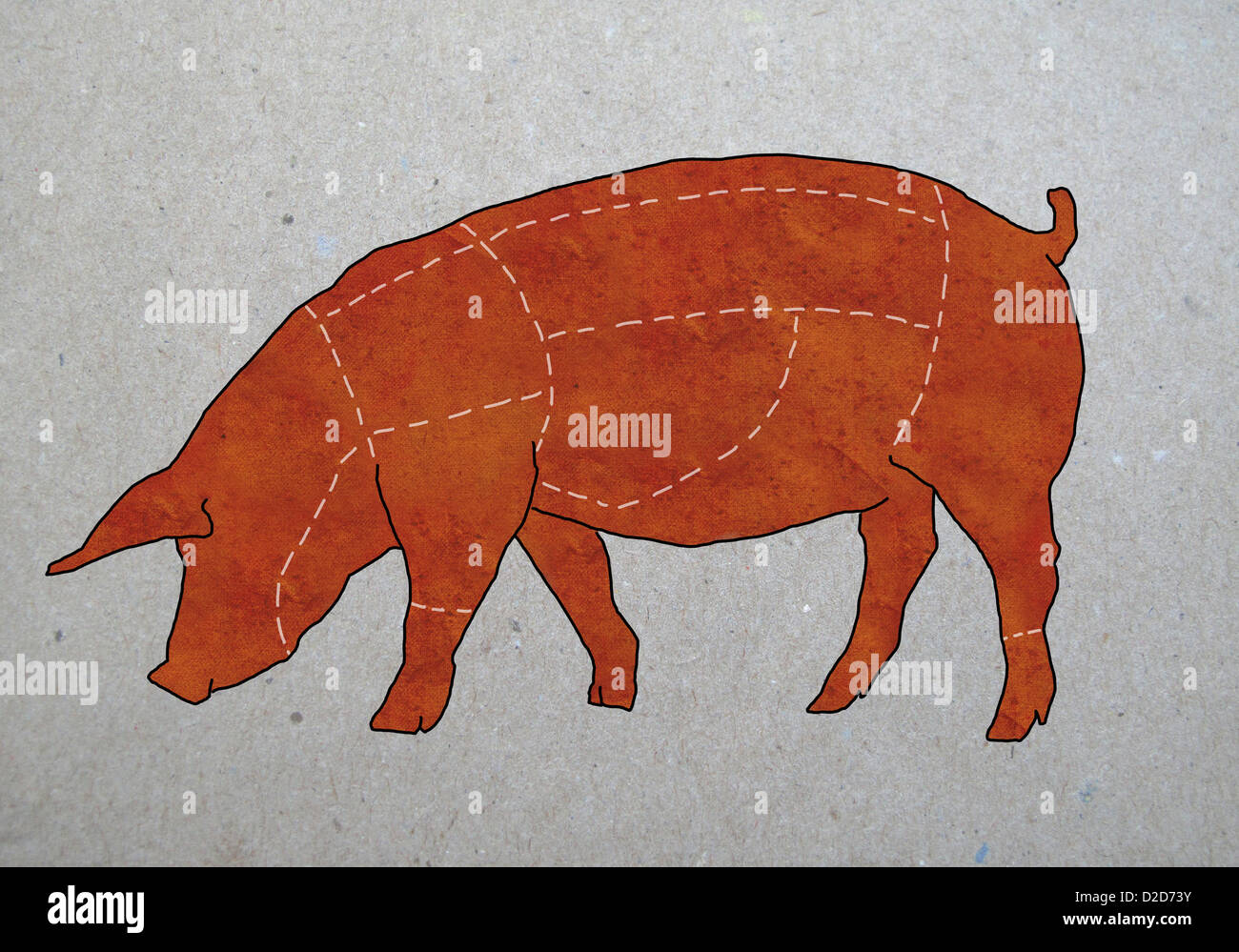 Schéma d'une boucherie d'un cochon Banque D'Images Schéma d'une boucherie d'un cochon Banque D'Images