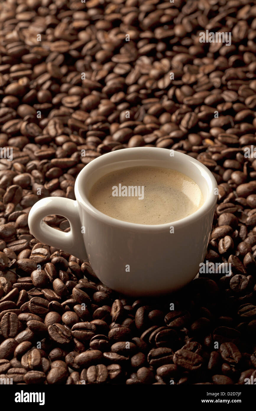 Une tasse de café sur les grains de café Banque D'Images