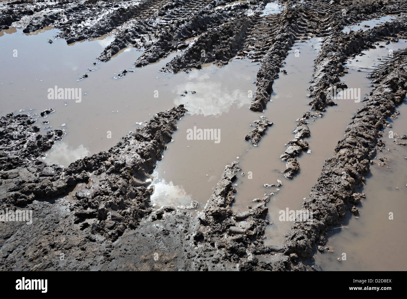 Gamme de véhicules de construction tracés dans une flaque d'eau on construction site Banque D'Images