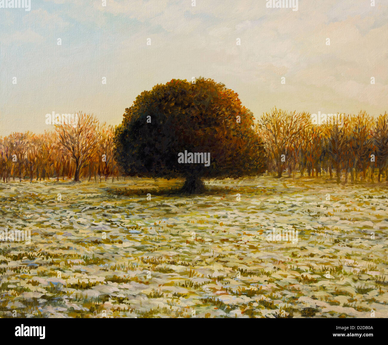 Une peinture à l'huile sur toile d'un coucher de soleil d'or chaud d'un vieux chêne vert arbre dans la fin de l'hiver. Banque D'Images