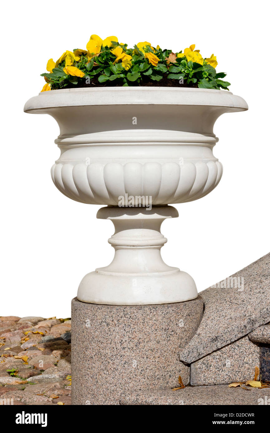 La production de masse de marbre ancien vase avec fleurs jaune automne pensées se trouve dans le parc de la ville à l'échelle de granit . Journée ensoleillée. W isolés Banque D'Images