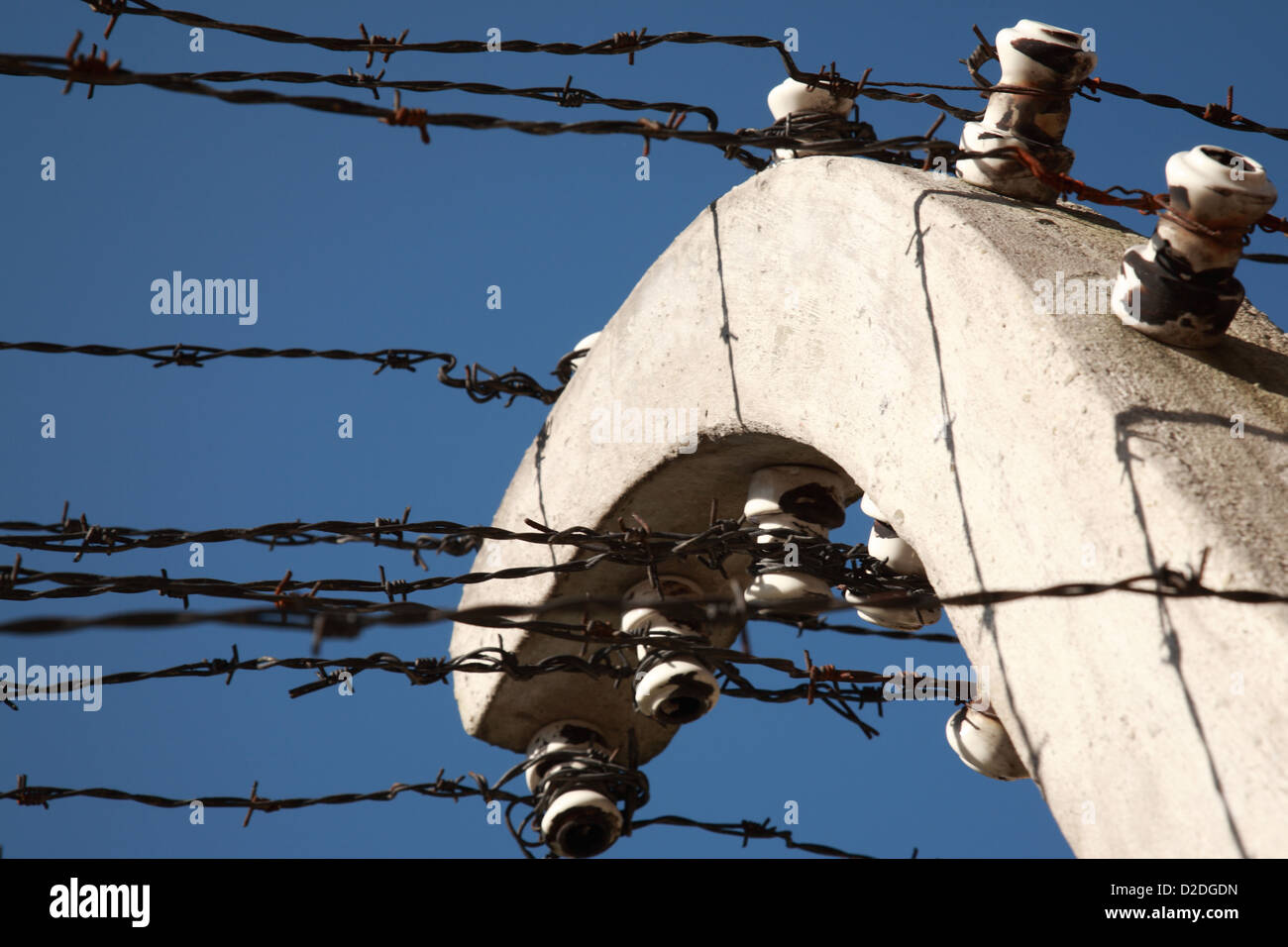 Close up des barbelés, camp de concentration d'Auschwitz, Pologne Banque D'Images