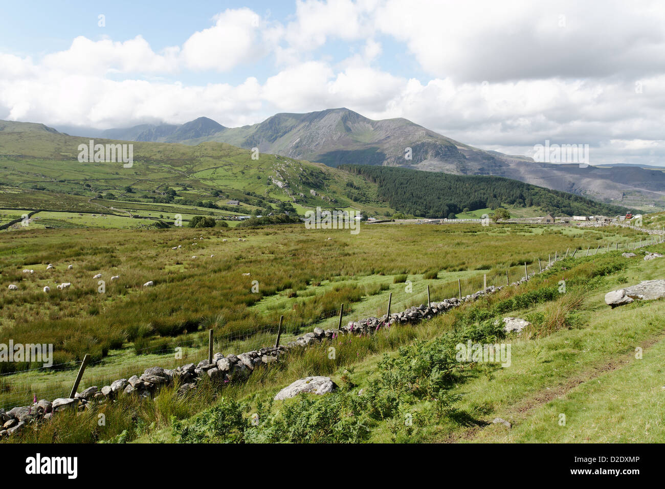 Vue d'Elidir Fawr, Snowdonia, du bas des pentes de Gyrn Wigau Banque D'Images