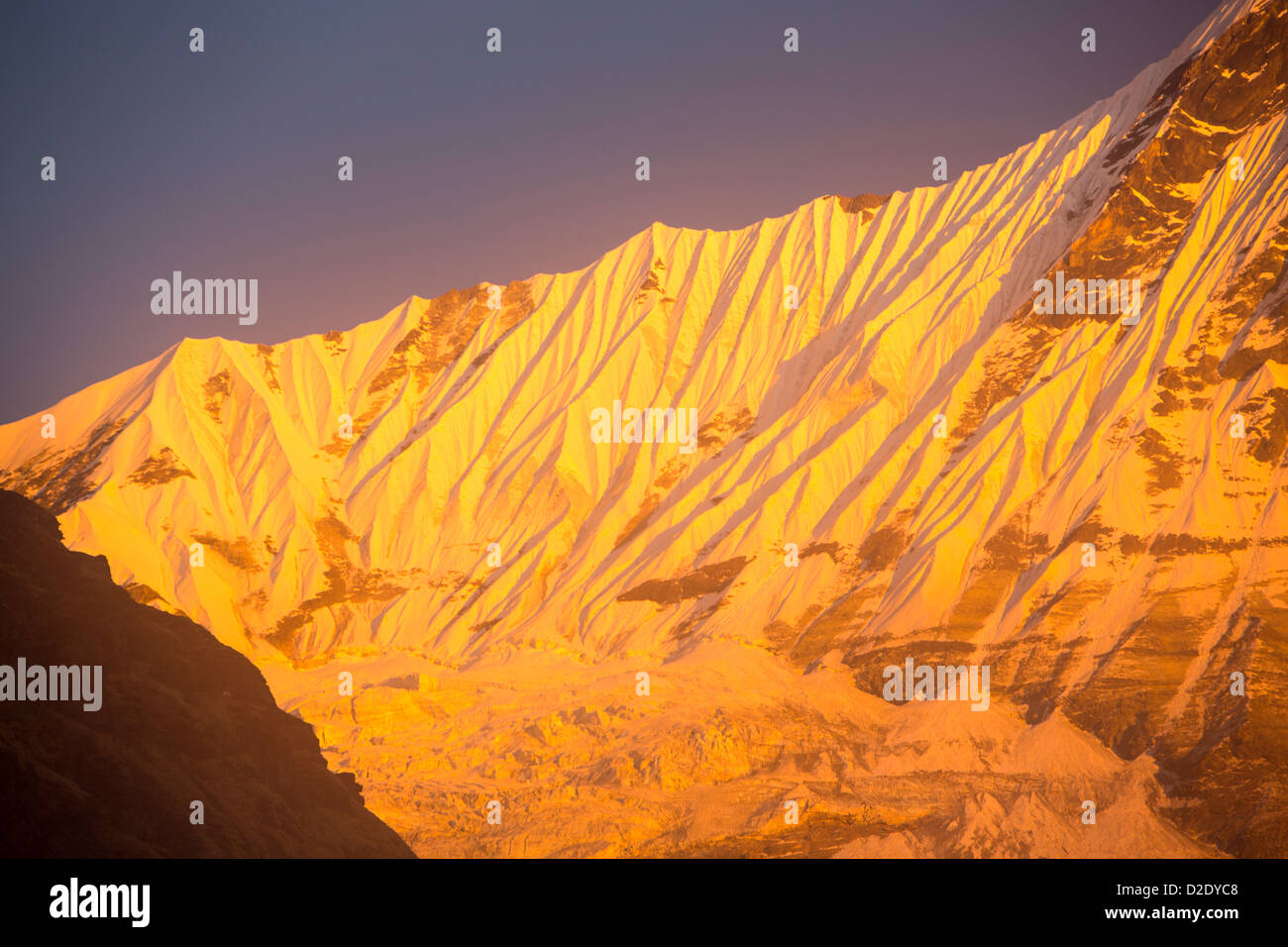 Alpenglow au coucher du soleil sur l'Annapurna Machapuchare, sanctuaire, Nepelese Himalaya. Banque D'Images