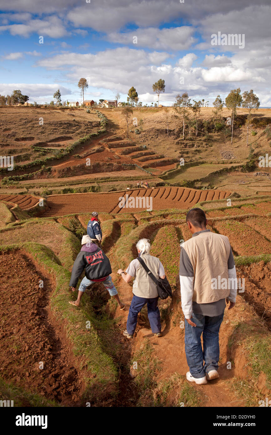 Antsirabe, Madagascar, dirigée par des guides touristiques traversant les champs pour atteindre le village à distance Banque D'Images