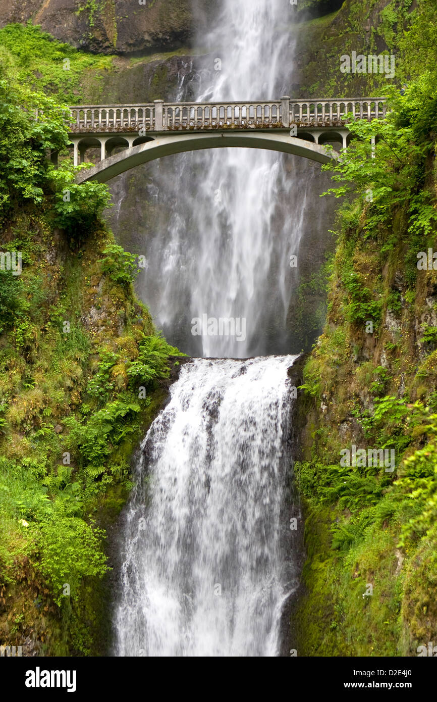 Multnomah Falls dans la gorge du Columbia National Scenic Area, Oregon. Banque D'Images