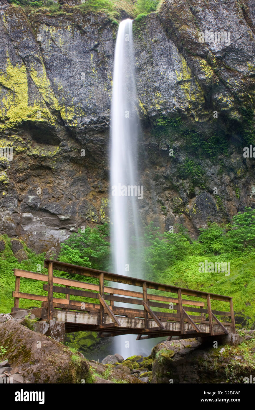 Elowah Falls au-dessus d'un pont dans la gorge du Columbia National Scenic Area, Oregon. Banque D'Images