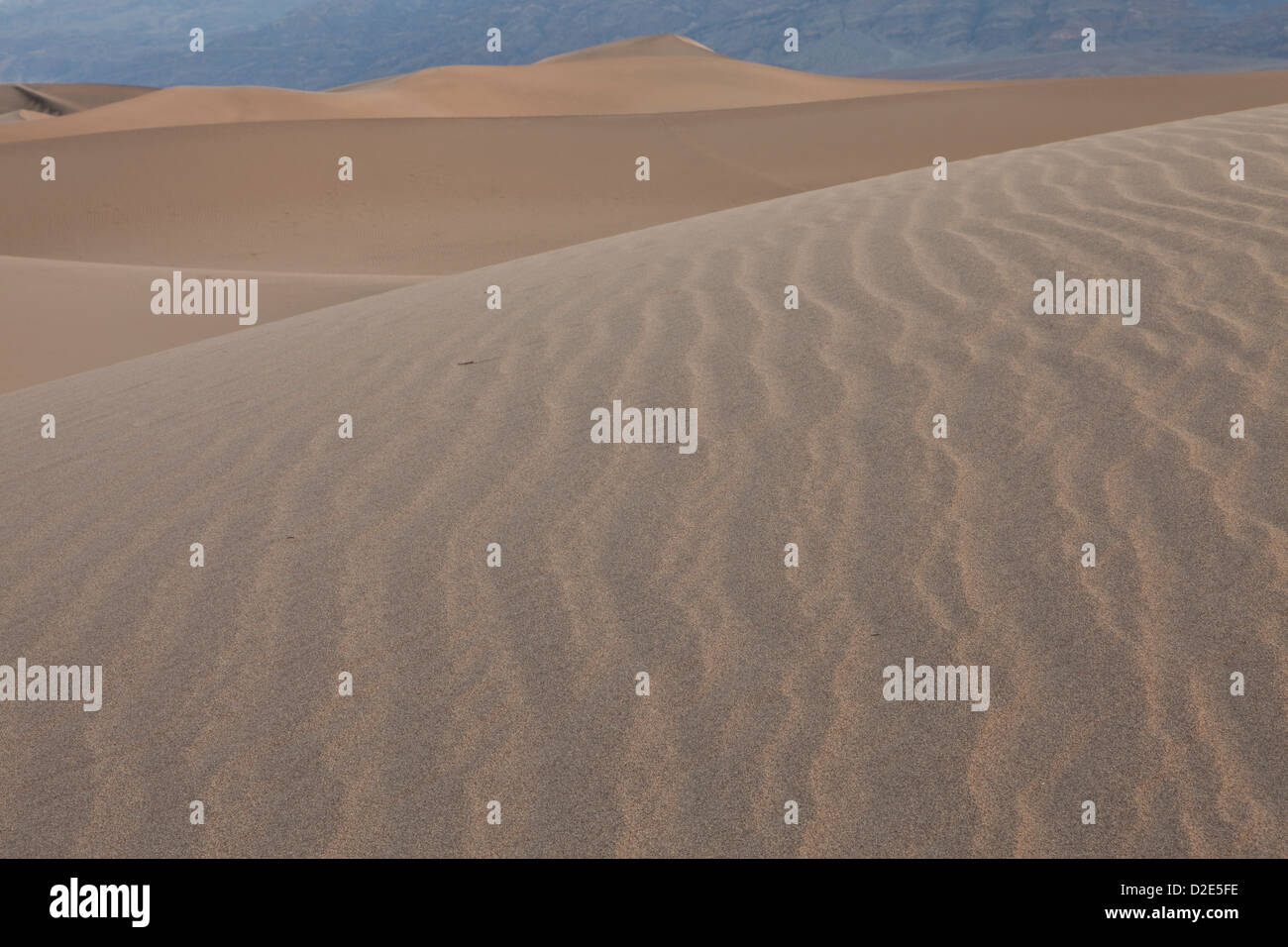 Télévision Mesquite dunes près de Stovepipe Wells dans Death Valley National Park, en Californie. Banque D'Images