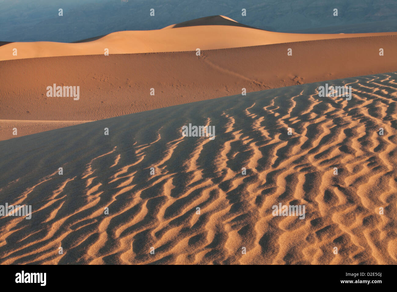 Début de lumière sur Mesquite Dunes télévision près de Stovepipe Wells dans Death Valley National Park, en Californie. Banque D'Images