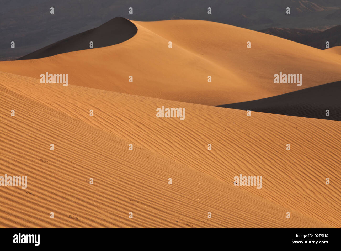 Début de lumière sur Mesquite Dunes télévision près de Stovepipe Wells dans Death Valley National Park, en Californie. Banque D'Images