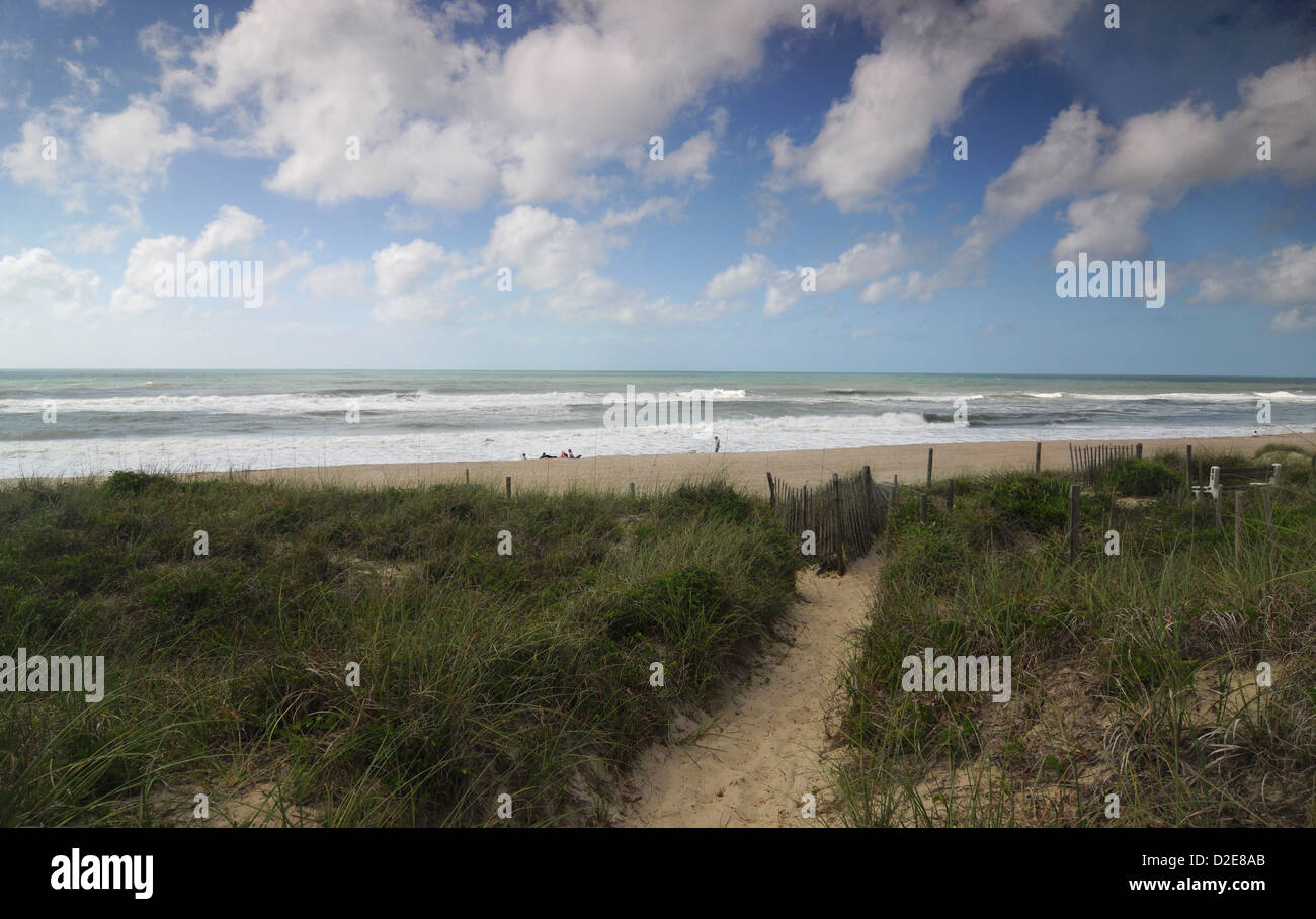 Le chemin jusqu'à la plage à Emerald Isle, Caroline du Nord. Banque D'Images