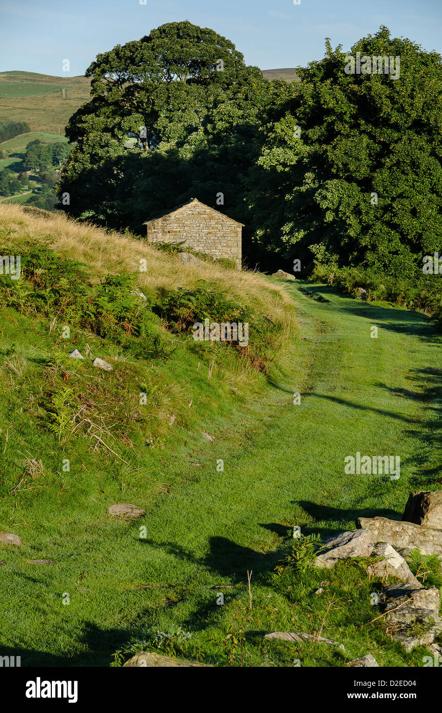 L'herbe la voie menant à une grange dans le Yorkshire Dales Banque D'Images