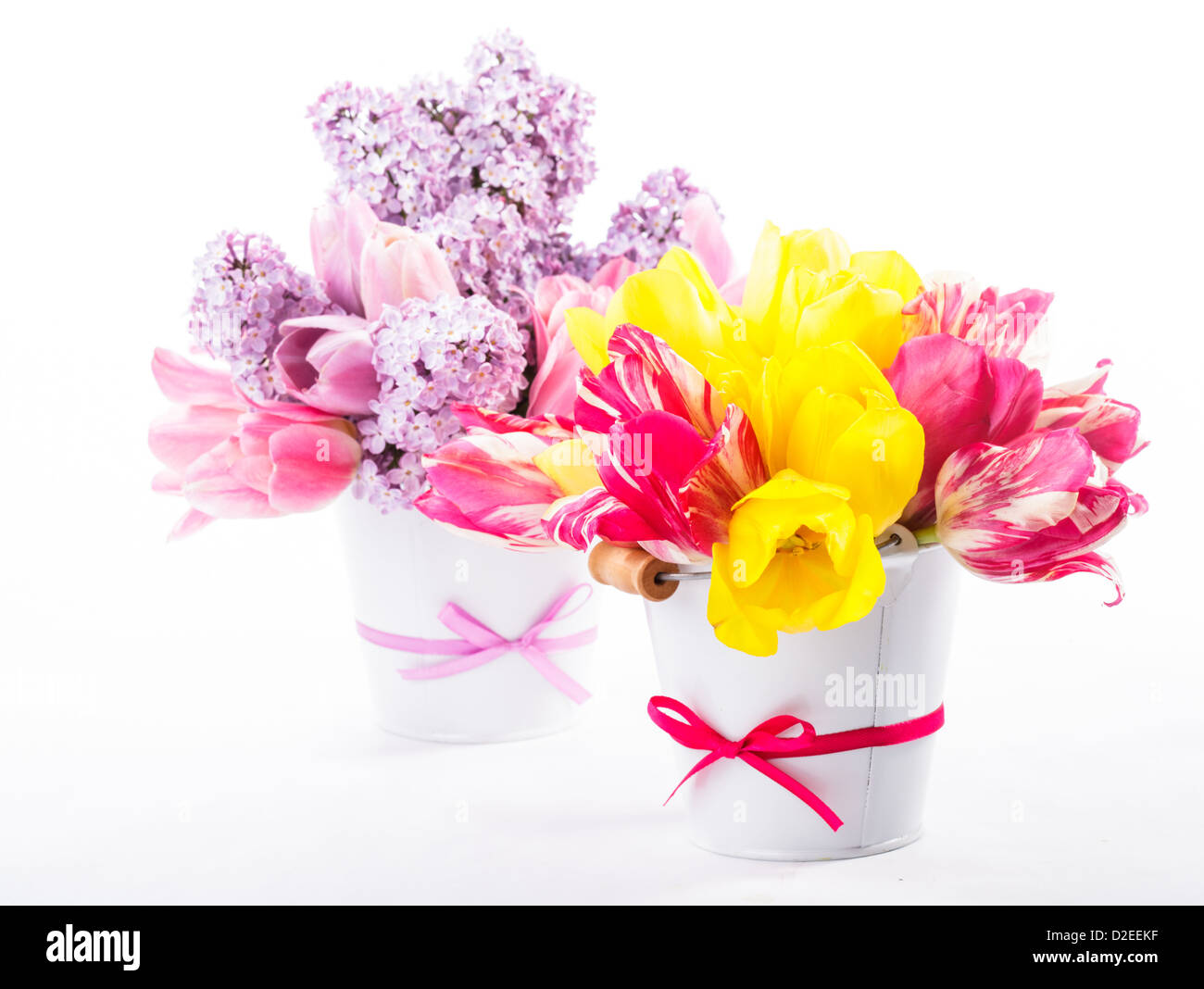 Bouquets de tulipes et lilas sur fond blanc Banque D'Images