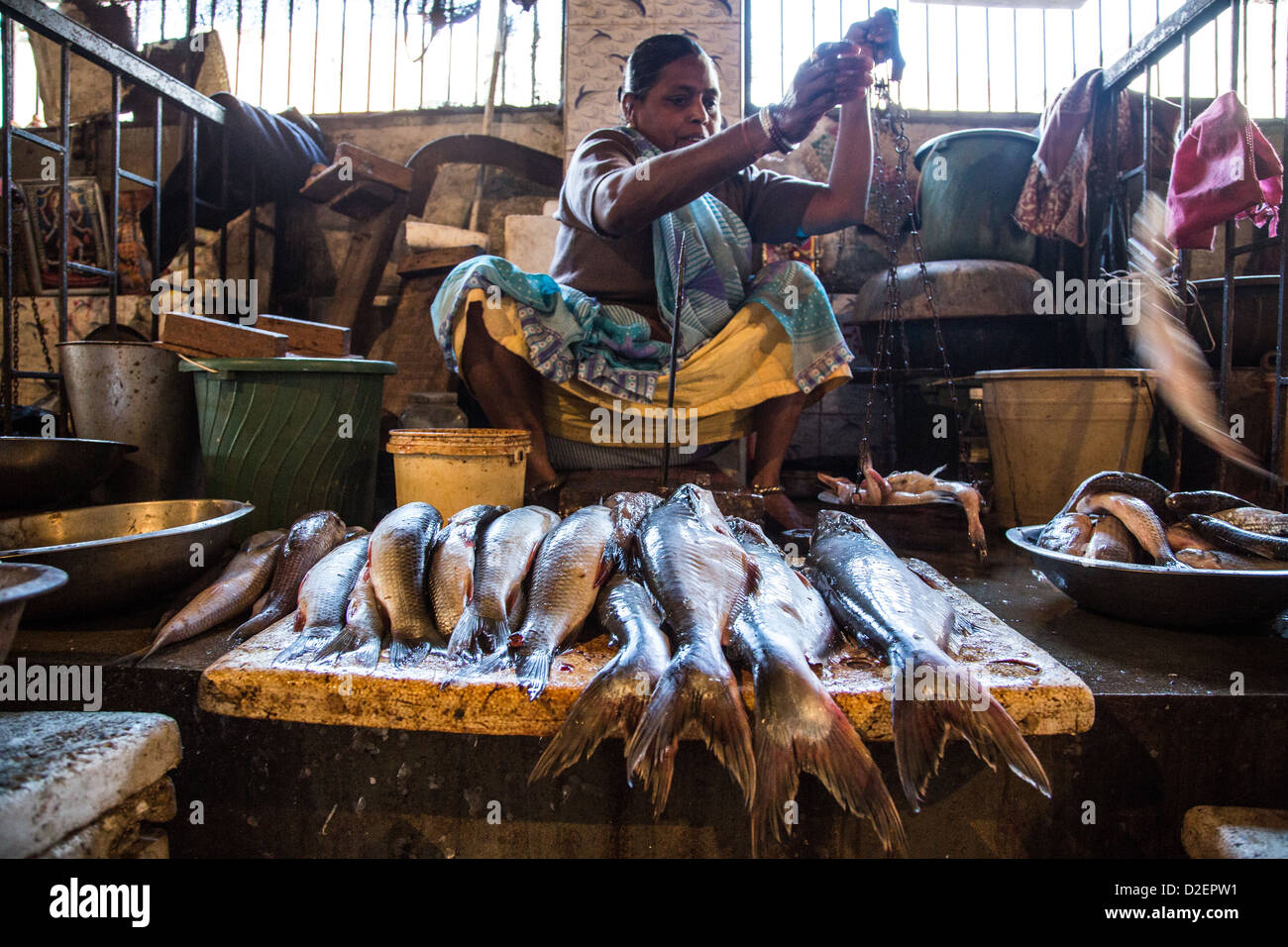 Marché de poissons à Ahmedabad, Gujarat, Inde Banque D'Images