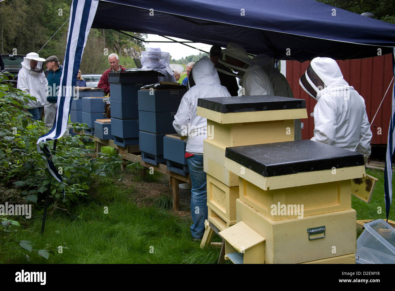 Réunion des apiculteurs de discuter du travail à réaliser pour préparer des ruches pour l'hiver. Banque D'Images