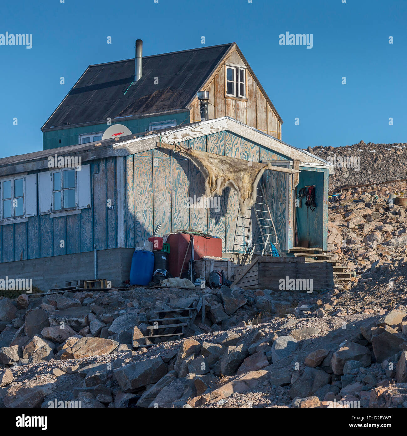 La peau d'ours polaire sur le côté d'une maison, husky dormir. Village  d'Ittoqqortoormiit (Scoresbysund), Groenland Photo Stock - Alamy