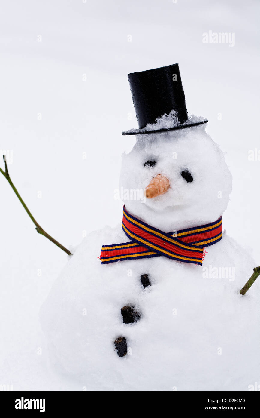 Bonhomme de neige contre un arrière-plan. Banque D'Images