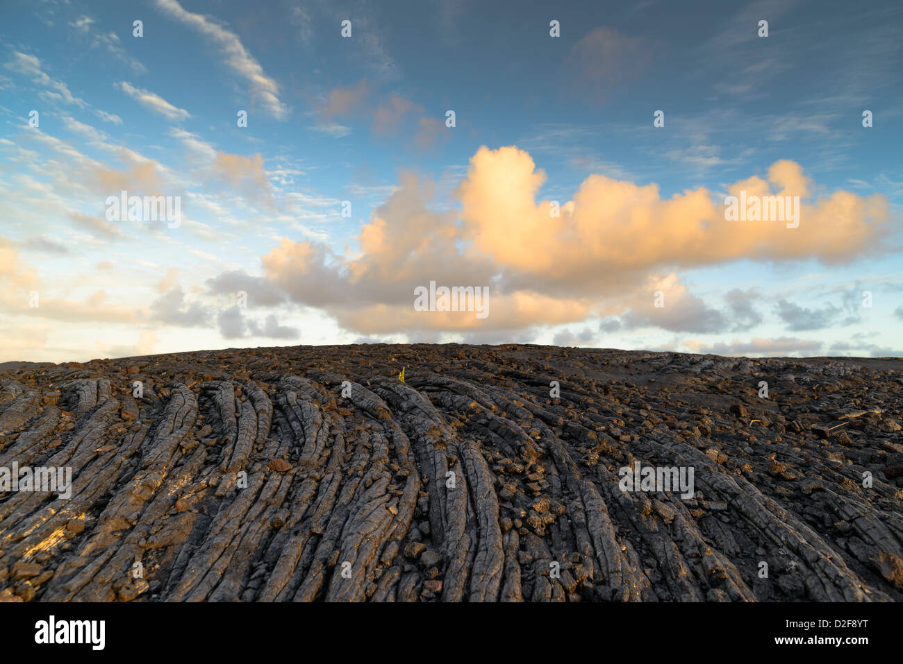 Coucher de soleil sur paysage de lave durcie black rock, Big Island, Hawaii Banque D'Images