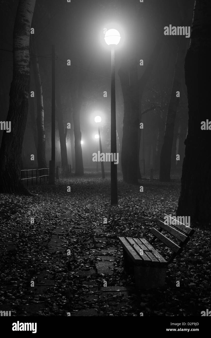 Banc dans un parc à un tôt le matin brumeux en noir et blanc Banque D'Images