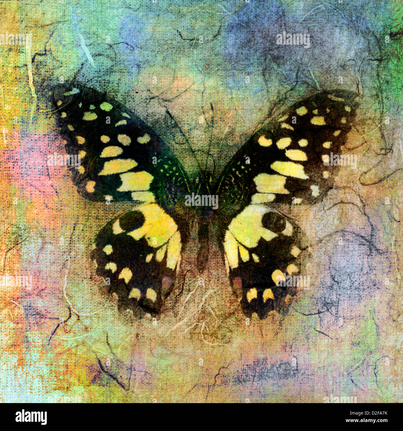 Médium mixte illustration d'un papillon. Banque D'Images