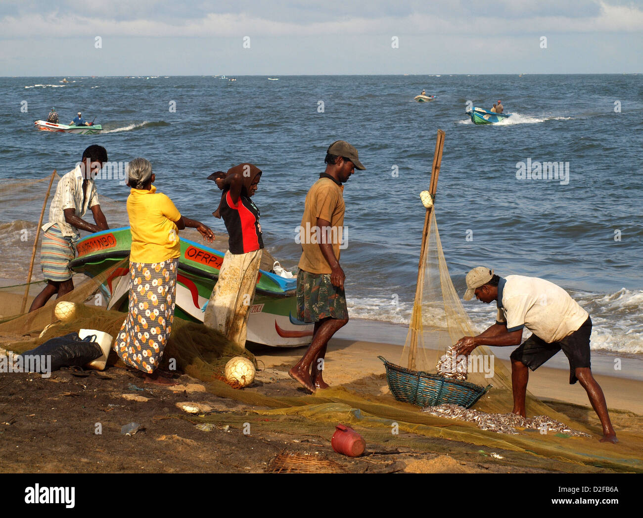 Pêcheurs de Negombo Sri Lanka trier la capture d'un bateau vient d'arriver sur la plage et verser dans un panier de poissons Banque D'Images