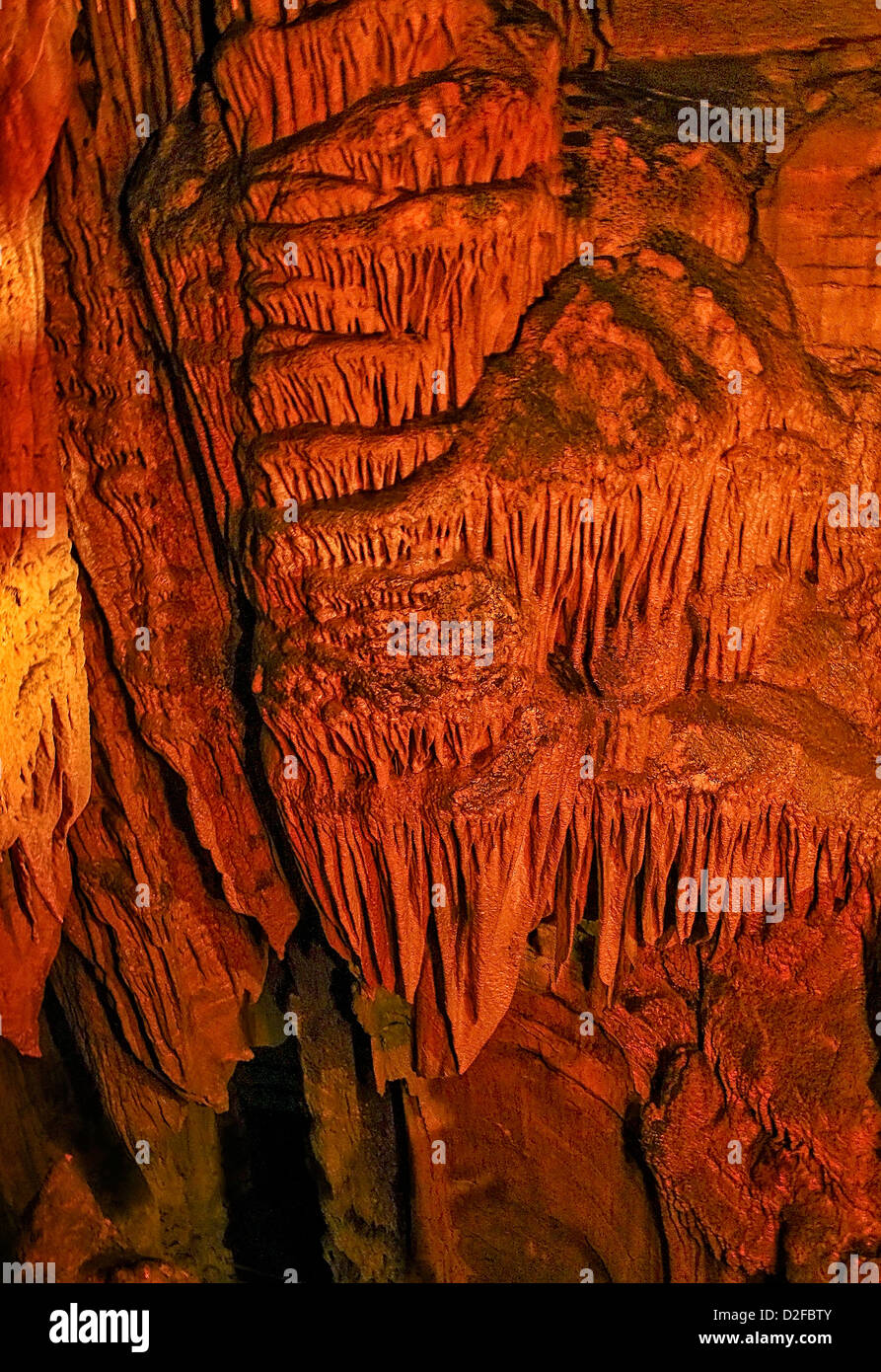 Parc national de Mammoth Cave dispose du plus grand réseau de grottes naturelles (560 km de voies). Banque D'Images