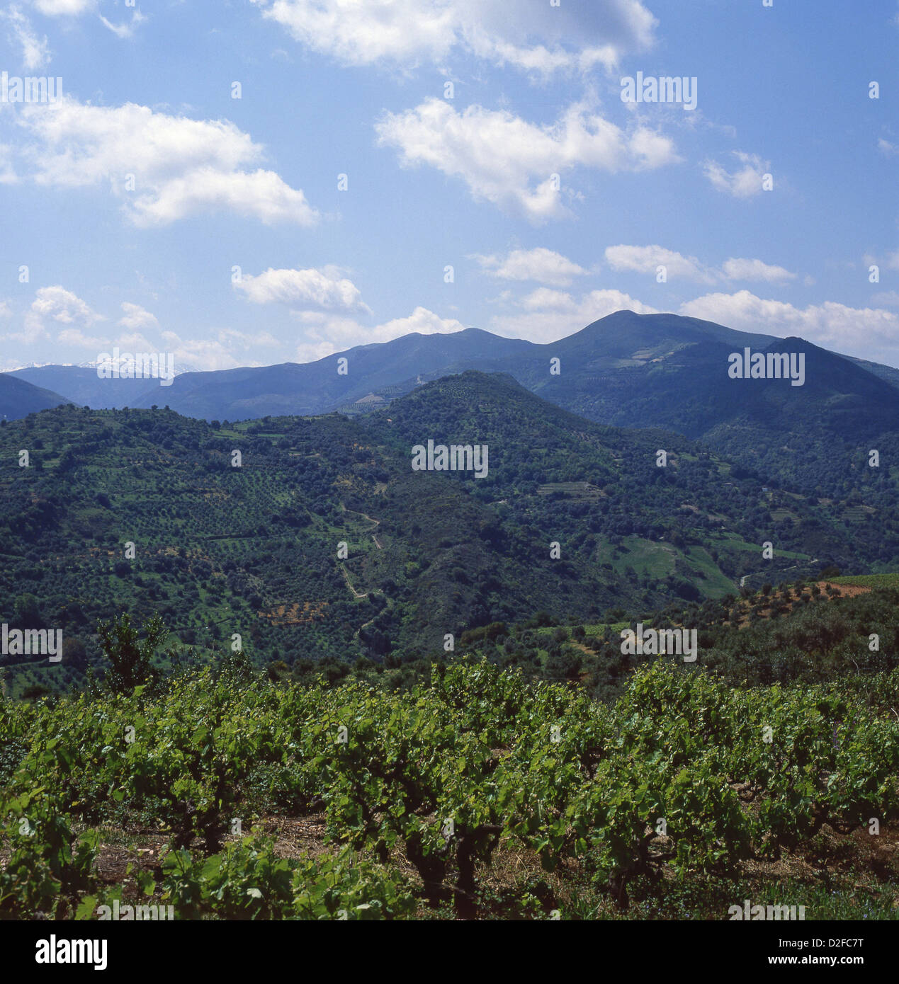 Paysage de montagne dans la région de Sfakiá, municipalité régionale de La Canée, Crète Crète (unité) région, Grèce Banque D'Images