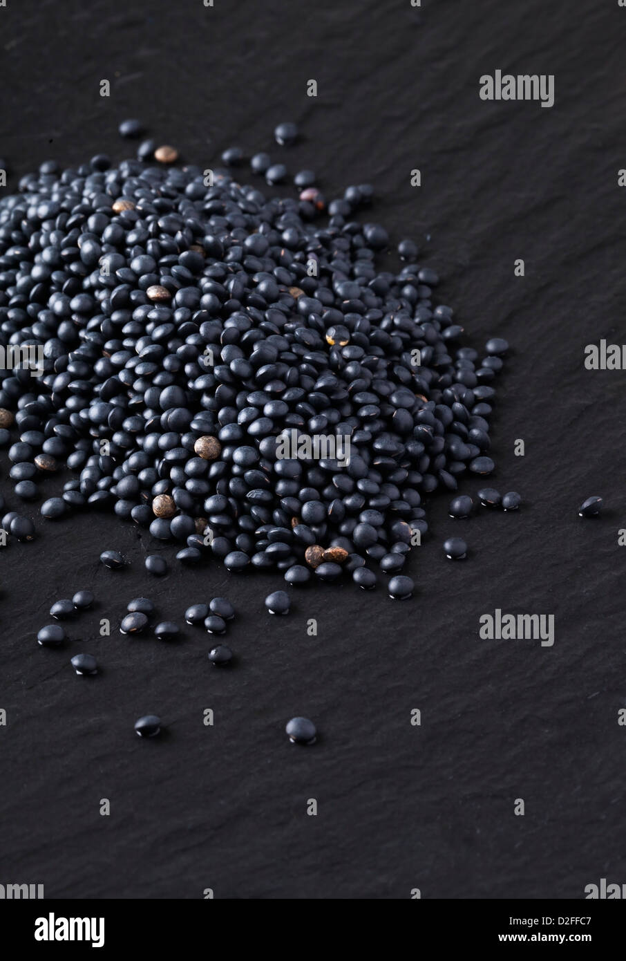 Lentilles Beluga Banque D'Images