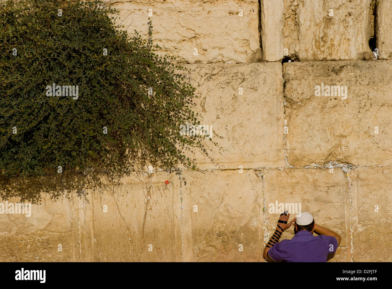 Homme qui prie par le mur des lamentations, Jérusalem, Israël Banque D'Images