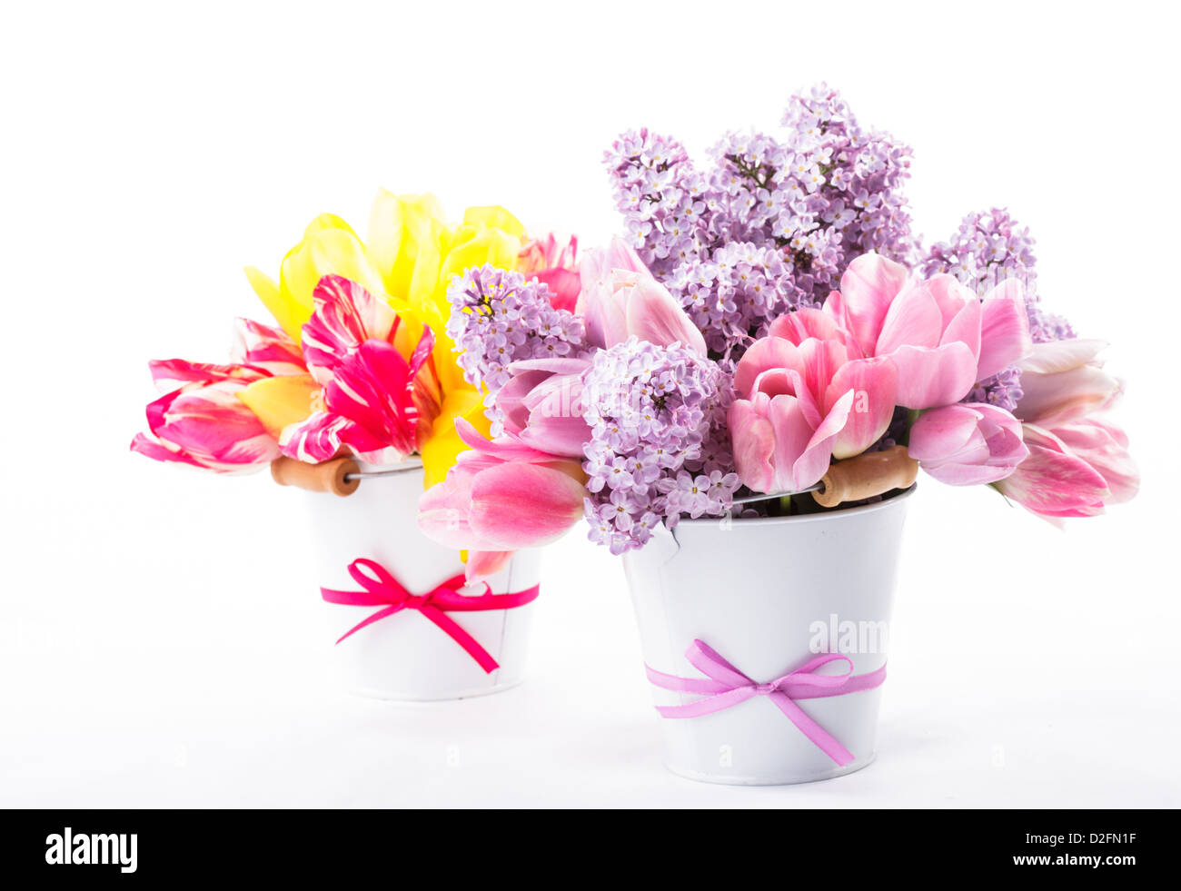 Bouquets de tulipes et lilas sur fond blanc Banque D'Images