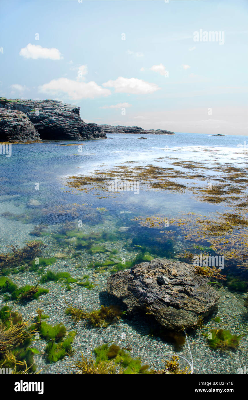 L'eau de mer claire, les algues, les rochers, l'eau, ciel, journée ensoleillée, l'été, Banque D'Images