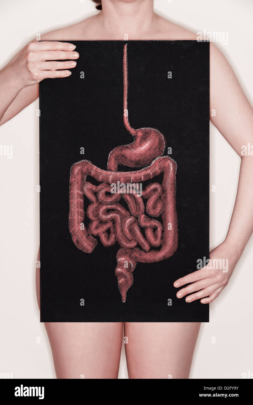 Femme tenant un tableau noir avec un diagramme / illustration du système digestif humain dessiné dessus à la craie Banque D'Images
