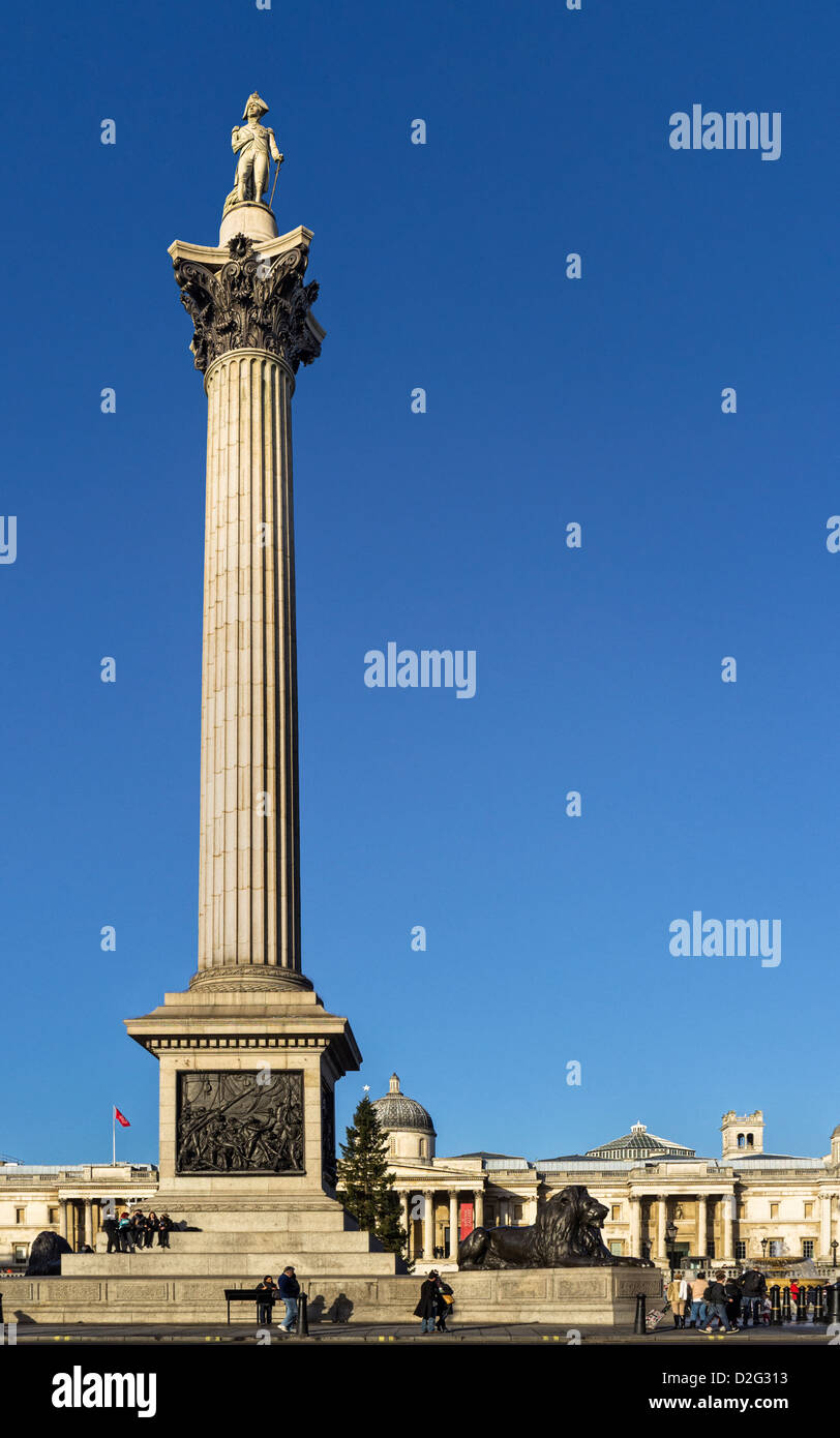 La colonne Nelson à Trafalgar Square, Londres, UK Banque D'Images